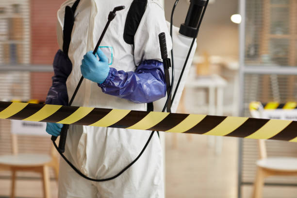 Professional Odor Removal technician working in Losantville, IN